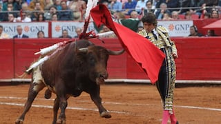 Ciudad de México está muy cerca de prohibir la cruel muerte de toros en el ruedo