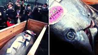 Subastan en 145 mil dólares un atún en Tokio