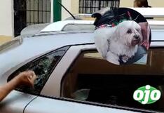 Sereno rompe ventana de auto estacionado para rescatar a perrito en Pueblo Libre (VIDEO)