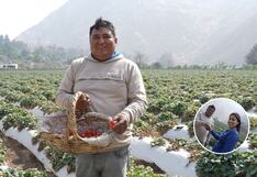 ¿Por qué apostar por los negocios verdes?