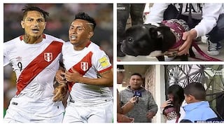 Perú vs. Colombia: familia devuelve a perrito y se llevan seis entradas en palco (VIDEOS)