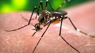 Sepa cómo reconocer los síntomas del dengue  