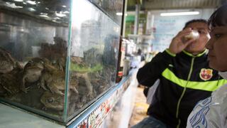 Colombianos encantandos con extracto de rana [VIDEO] 