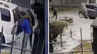 Asaltantes intentan robar a un hombre pero no esperaban que dos perros los hagan correr |VIDEO