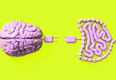 Comer para vivir: ¿Sabías que el intestino y el cerebro se comunican?