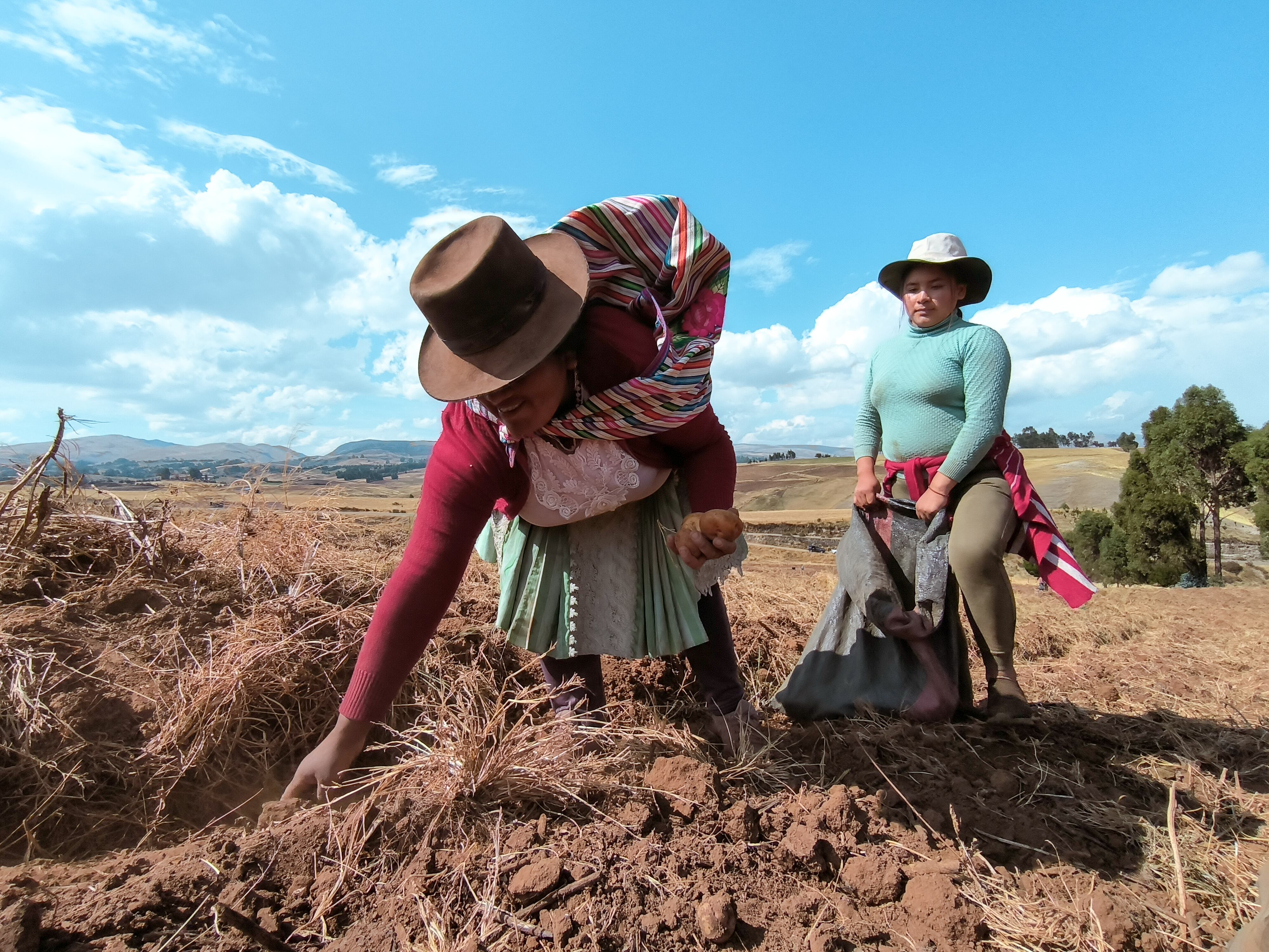 Florence es reconocida a nivel mundial por su dedicado trabajo enfocado en Etnobotánica, la Amazonía y los Andes.