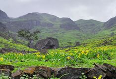 Visita el Santuario de Amancay de UNACEM: Un espacio para hacer deporte y disfrutar de la naturaleza