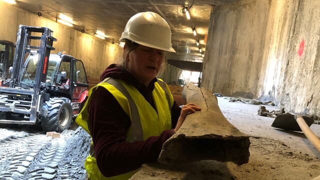 Los restos de dos mamuts y otros animales paleolíticos son hallados en obras del metro de Bruselas