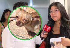 Familia de ‘Marianito’, mascota robada en SMP, celebra su regreso: “Estamos muy contentos”