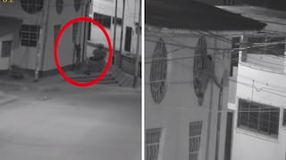 Ladrón se arriesga para robar un foco y todo termina mal (VIDEO)