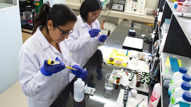 Lanzan concurso para mujeres científicas en Lima y Callao