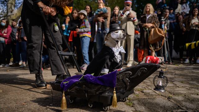 En Brooklyn, los perros invaden las calles con tiernos disfraces por Halloween | FOTOS