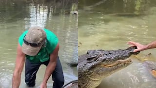 Aventurero espanta a cocodrilo de 4 metros de largo como si se tratara de una mascota