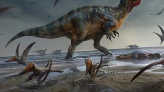 ¡Increíble!: Descubren restos del mayor depredador que habitó Europa
