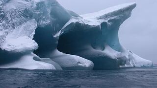 Impacto de témpanos a la deriva reduce especies en la Antártida 