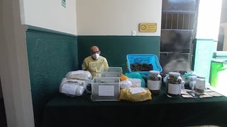 Cercado de Lima: ‘Lex Luthor’ cayó con 11 kilos de marihuana que iba a vender en Semana Santa bajo la modalidad del delivery