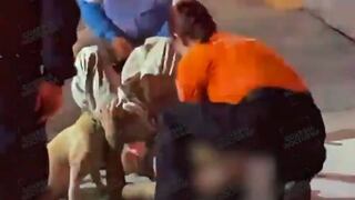 Delincuentes asesinan a reciclador y su perrito lo lame mientras le dan los primeros auxilios [VIDEO]