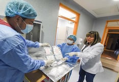 Banco de tejido y piel de cerdo ayuda en recuperación de 5 mil pacientes quemados