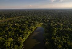 Otorgarán protección por 30 años para el paisaje Purús-Manu
