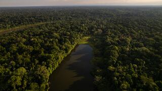 Otorgarán protección por 30 años para el paisaje Purús-Manu