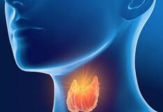 Comer para vivir: ¿Qué parte del cuerpo afecta más el hipotiroidismo?
