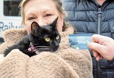 Gatita aventurera, que solita se subió al metro, viajará gratis en tren toda su vida