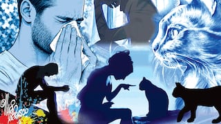 Los gatos de mi novia me dan alergia (CASOS DEL CORAZÓN)