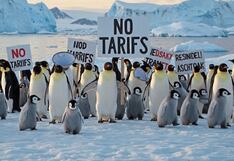 Donald Trump busca cobrar impuestos a focas y pingüinos