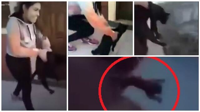 Facebook: Lanza gatito del piso más alto para "ver si caía parado" [VIDEO]
