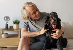 Consejos para cuidar mejor a su perro adulto mayor