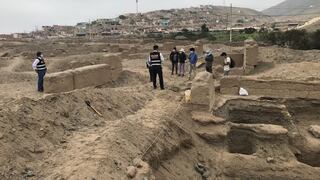 Arqueólogo es detenido por hacer excavación durante la cuarentena por el coronavirus