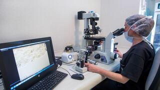 Con Inteligencia Artificial revolucionan los tratamientos de reproducción asistida