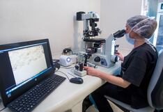Con Inteligencia Artificial revolucionan los tratamientos de reproducción asistida