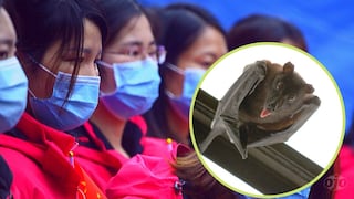 Murciélagos ‘para comer’ se siguen vendiendo en mercados de China pese a peligro sanitario