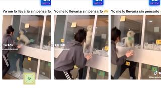 Perrito que estaba dentro de una jaula juega con una mujer y escena enternece las redes