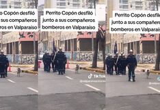 “Y no perdió el paso”: equipo de bomberos desfila junto a un perrito y cautiva en redes