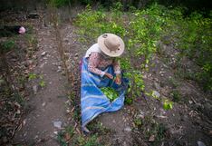 La cruda realidad: Feliz día del campesino