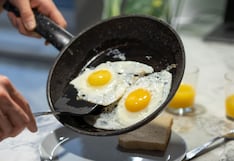 Crianza de la gallina influye en la calidad del huevo que se consume