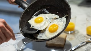 Crianza de la gallina influye en la calidad del huevo que se consume