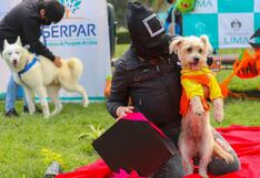 Serpar organiza actividades y concursos para celebrar el Día de la Canción Criolla y Halloween