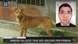 Obrero murió tras ser atacado por varios perros en Junín: tenía múltiples heridas | VIDEO