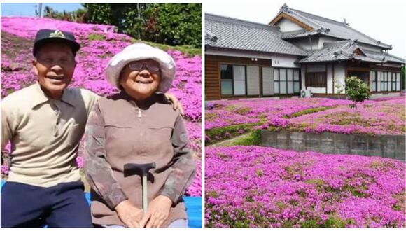 YouTube: Plantó enorme jardín de flores para que su esposa ciega vuelva a sonreír 