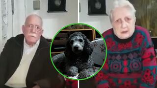 El increíble final de unos abuelitos que ofrecieron el dinero de jubilación para encontrar a su perrita