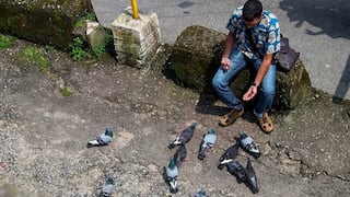 Día Mundial de Lucha contra la Depresión: aumentan casos de depresión en jóvenes universitarios