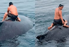 Pescador se lanza al mar para rescatar a ballena