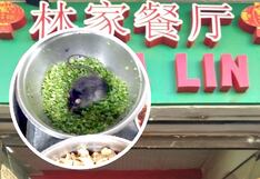 Chifa en Cusco cierra temporalmente tras la aparición de una rata (VIDEO)