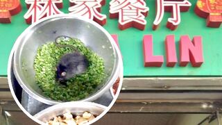 Chifa en Cusco cierra temporalmente tras la aparición de una rata (VIDEO)