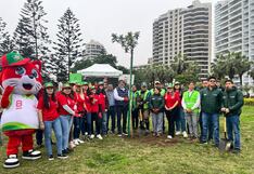 Mejoran la calidad del entorno urbano plantando árboles para reducir el impacto ambiental