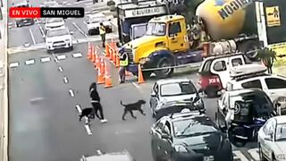 Mujer saca a pasear a sus dos perros y los abandona al irse en auto que la esperaba