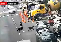 Mujer saca a pasear a sus dos perros y los abandona al irse en auto que la esperaba